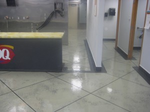 UPLOAD 01132009 0207 IMG 0479